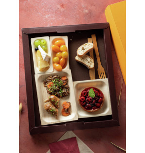 BASE THEMA CACAO MONTADA