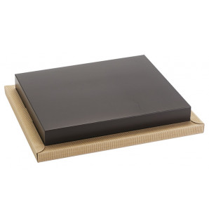 BASE THEMA KRAFT PLANA