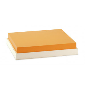 TAPA THEMA MANDARINA