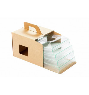 CAJA BENTO KRAFT