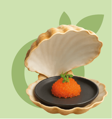 Plateaux repas et coffrets